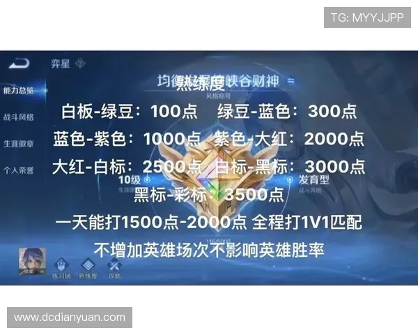 从零到英雄：全面解析王者荣耀比赛技巧与经验分享