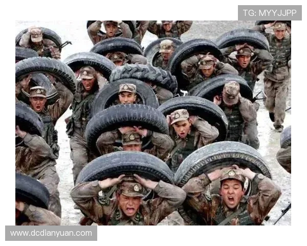 北京排球队的蜕变与成长:一段排球精神的传承与创新之旅